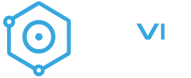 veevia.ai
